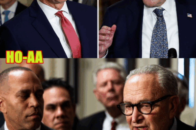 “‘THIS IS ALL BECAUSE OF ONE MAN’: GOP Senator Calls Out the Man Behind the Shutdown Chaos”