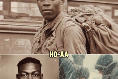 A Soldier Was Declared KIA in 1944 — 50 Years Later, a Farmer Found Him Perfectly Preserved in Ice. | HO!!