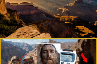 S – Two Tourists Vanished in Grand Canyon — 5 Years Later One Returned and REVEALED a TERRIBLE SECRET