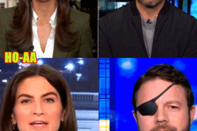 When Kaitlan Collins Is on Our Side, ‘You Know’ It’s Egregious