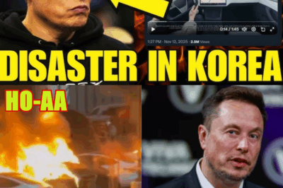 Elon Musk Tesla DISASTER in Korea