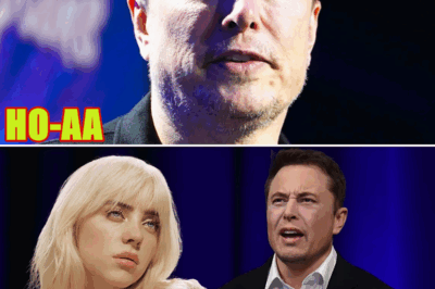 Elon Musk SNAPS Over Billie Eilish Reality Check In Humiliating Escalation