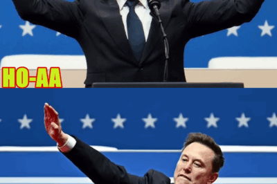 How Tesla Shares Climbed After Elon Musk’s AI Announcement: An Investigative Report