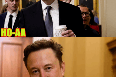 Elon Musk “In Panic” After Accidentally Exposing Top MAGA Influencers as Foreign Actors — How a Viral Rumor Took Over the Internet