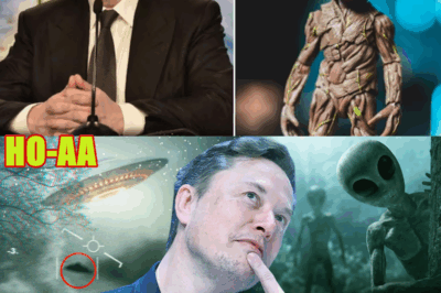 Elon Musk Confirms the Alien Rumors Aren’t Just Rumors
