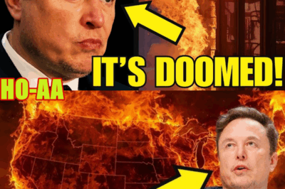TRUMP–MUSK AI FAILURE IS DOOMED