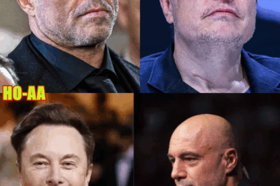 “It’s Already Too LATE!” — Elon Musk Stuns Joe Rogan