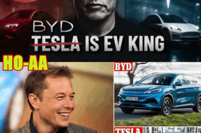 BYD vs Tesla: How China Beat Elon Musk at His Own Game | Business Case Study
