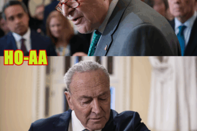 ‘UNPRECEDENTED’: Chuck Schumer Under Fire as ‘The Squad’ and Progressive Democrats Unleash on Him