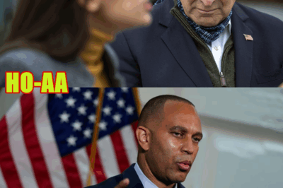 WATCH: AOC dodges on Schumer ousting calls amid Dem divide