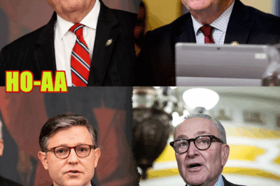 GOP Congressmen Decry Far‑Left Democrats Over Government Shutdown