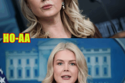 ‘Manufactured Hoax by Democrats’: White House Unleashes Over Bombshell New Epstein Emails