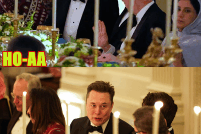 Elon Musk Spotted Among Guests at White House Dinner