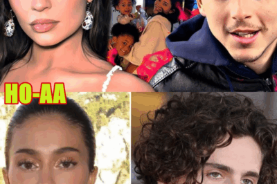 KYLIE JENNER HEARTBROKEN After TIMOTHÉE CHALAMET DOES NOT WANT MARRIAGE or TO BE A DAD TO HER KIDS