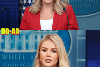 Leavitt Reveals What Went Down Behind Closed Doors of Trump–Mamdani Meeting