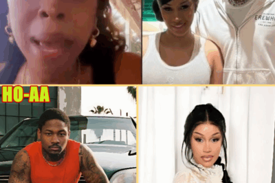 Stefon Diggs, “Kiki” Rumours & the Pregnant Allegation