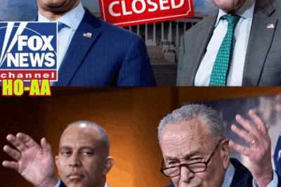 Dems STILL Haven’t Figured This Out: Christopher Bedford