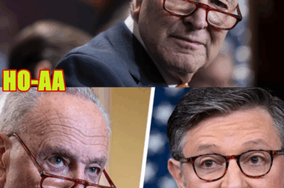 Dems will BREAK from Schumer, former House Speaker warns