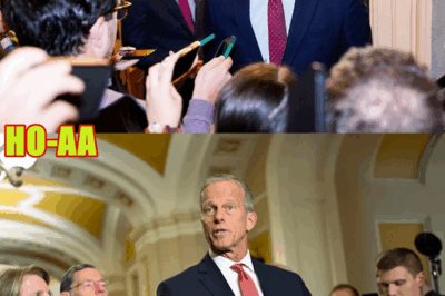 End of Government Shutdown ‘FINALLY IN SIGHT,’ Senator Says