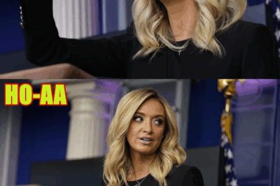 McEnany: This is EYE-OPENING to Watch