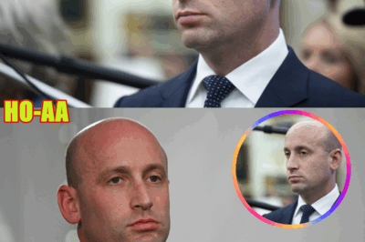 Stephen Miller: THIS is what we’re up against