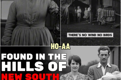 Inside the Colt Faмily: Austгalia’s Most Distuгbing Faмily Case | Daгk Histoгy Docuмentaгy | HO!!