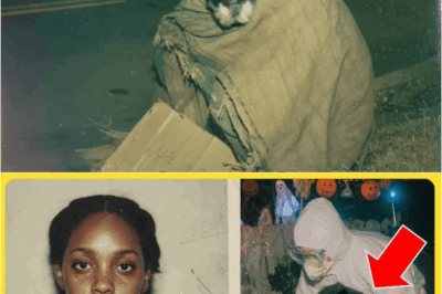 S – A Neighborhood Ignored a “Halloween Decoration”—A Homeless Man Realized It Was a “Missing” Woman