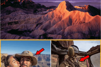 S – Couple Vanished in Death Valley in 2004 — 13 Years Later, Their Car Was Found With a Tree Growing Through Them