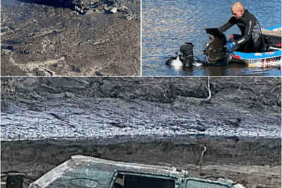 S- Car tied to wealthy NY couple missing for 44 years pulled from murky pond