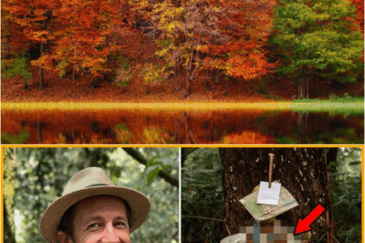 S – Tourist Vanished in Congaree Park — 10 Years Later, Found Under Oak With Map Nailed to Forehead