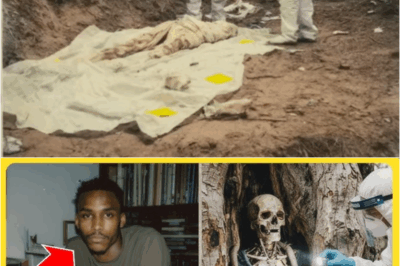 S – A Logger’s Chainsaw Got Stuck in a Tree — What She Found Inside Solved a 29-Year Mystery