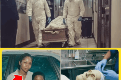 S – An Intern Realized the ‘Display Body’ He Was Training On Was His Missing Mother