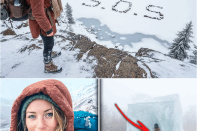 S – Woman Vanished in Alaska – 5 Years Later Found Inside Clear Ice Block Floating in the Bay