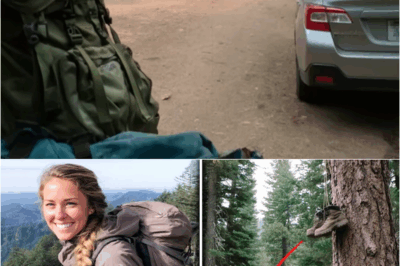 S – Woman Vanished in Oregon Forest – Two Years Later, Boots Found on Tree with Coordinate Pendant