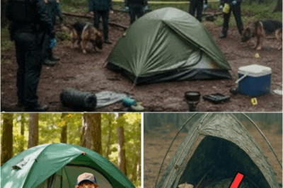 S – Ethan Cole and the Mountains’ Silence: The Vanishing That Became Legend