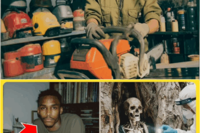 S – A Logger’s Chainsaw Got Stuck in a Tree — What She Found Inside Solved a 29-Year Mystery