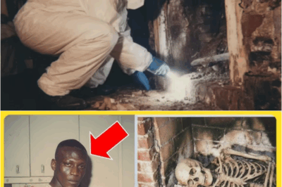 s – A Family Renovated Their Fireplace — And Uncovered a 10-Year-Old Mystery Behind the Bricks