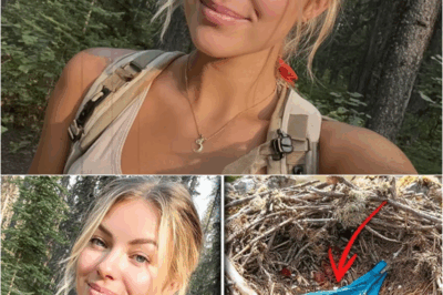 S – Girl Vanished on Mount Rainier — 9 Months Later THIS Was Found Inside a Hawk’s Nest…