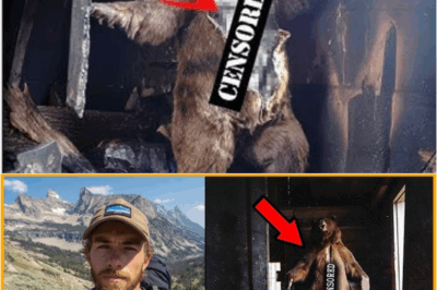 S – The Bear in the Cabin: How a Stuffed Animal Hid an Eight-Year Secret