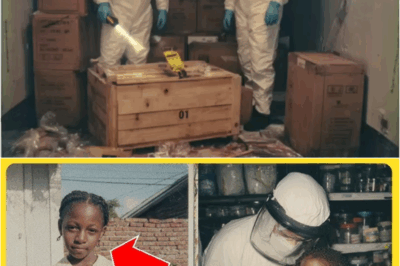 S – A Doll’s Hair Grew Six Inches in Three Months — DNA Revealed the Truth About a Missing Girl Who Vanished in 1998