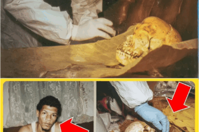 S – The Smelly Couch Mystery: How a Campus Legend Hid a 15-Year-Old Secret—and a Murd3r