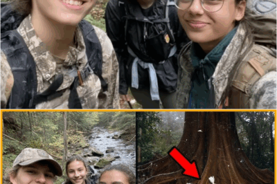 S – Teens Vanished on a Hiking Trip—Three Years Later, a Chilling Discovery Beneath a Fallen Tree