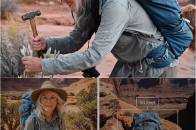 S – Grandmother Vanished With Her Dog in the Utah Desert — Two Years Later, a Drone Discovers the Truth