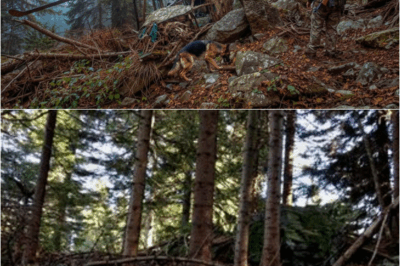 S – Hunter Found a Crashed Helicopter in the Mountains — The Moment He Opened the Door, He Regretted It