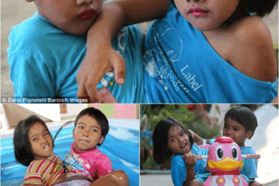 S – 1 in 2.5 million rare cases: Why did Pin-Pan become Thailand’s new symbol of optimism? Walking on his hands like a “crab crawling”, riding a tricycle: Pin-Pan made the whole school amazed.