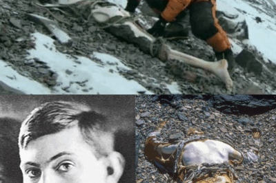 S – George Mallory’s Body FROZEN in Time for 75 Years on Everest — And the 1999 Discovery Revealed a SHOCKING Clue About His Final Moments