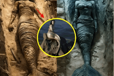 S – 🧜‍♀️ The Mermaid of the Bermuda Triangle – The Enigma of Shelly Island 🌊💎