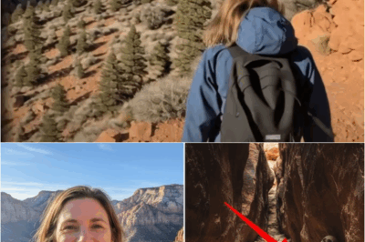 S – Hiker Vanished In Utah — Found 5 Years Later With Note Pinned To Her Chest…