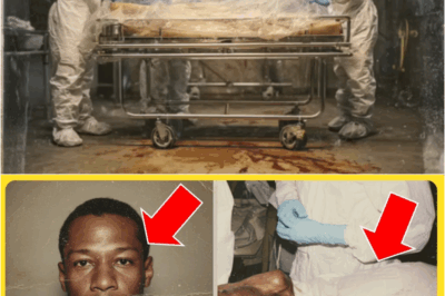 S – A Hospital Kept a “Sleeping Patient” for 30 Years — A New Nurse Realized It Was a Missing Doctor