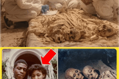 S – A HOTEL ROOM WAS “OUT OF ORDER” FOR 41 YEARS — RENOVATION FOUND A COUPLE WHO NEVER CHECKED OUT